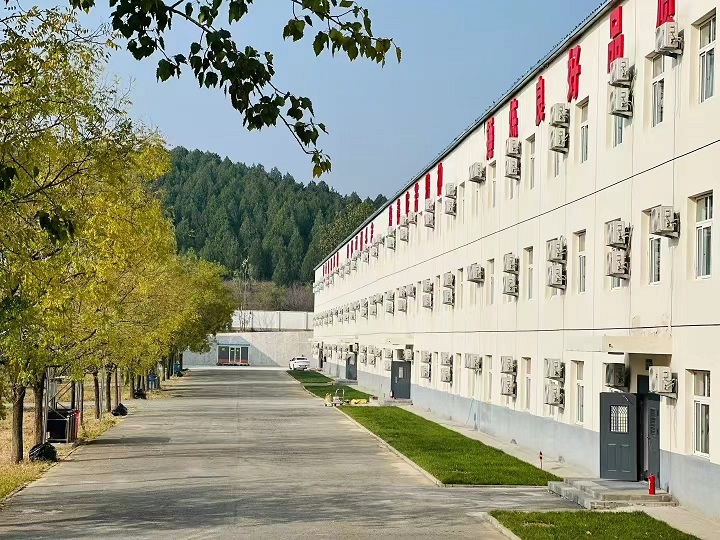 ������ѵ����